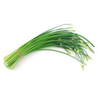 Chives