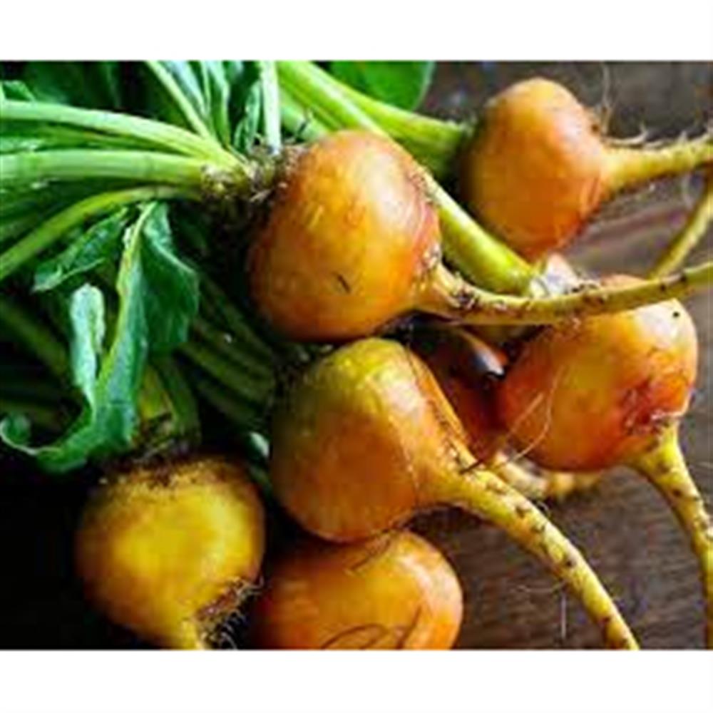 Beets, Gold