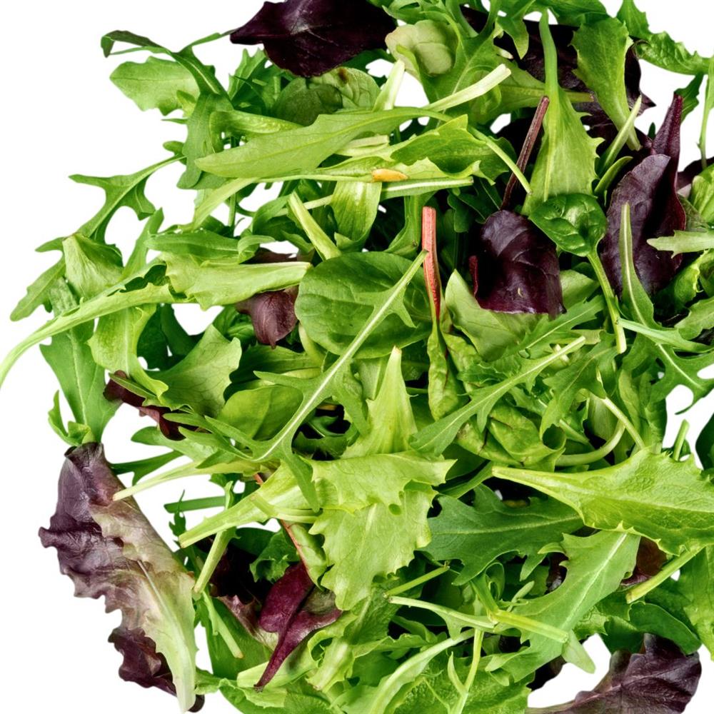 Lettuce Salad Mix Spicy HG