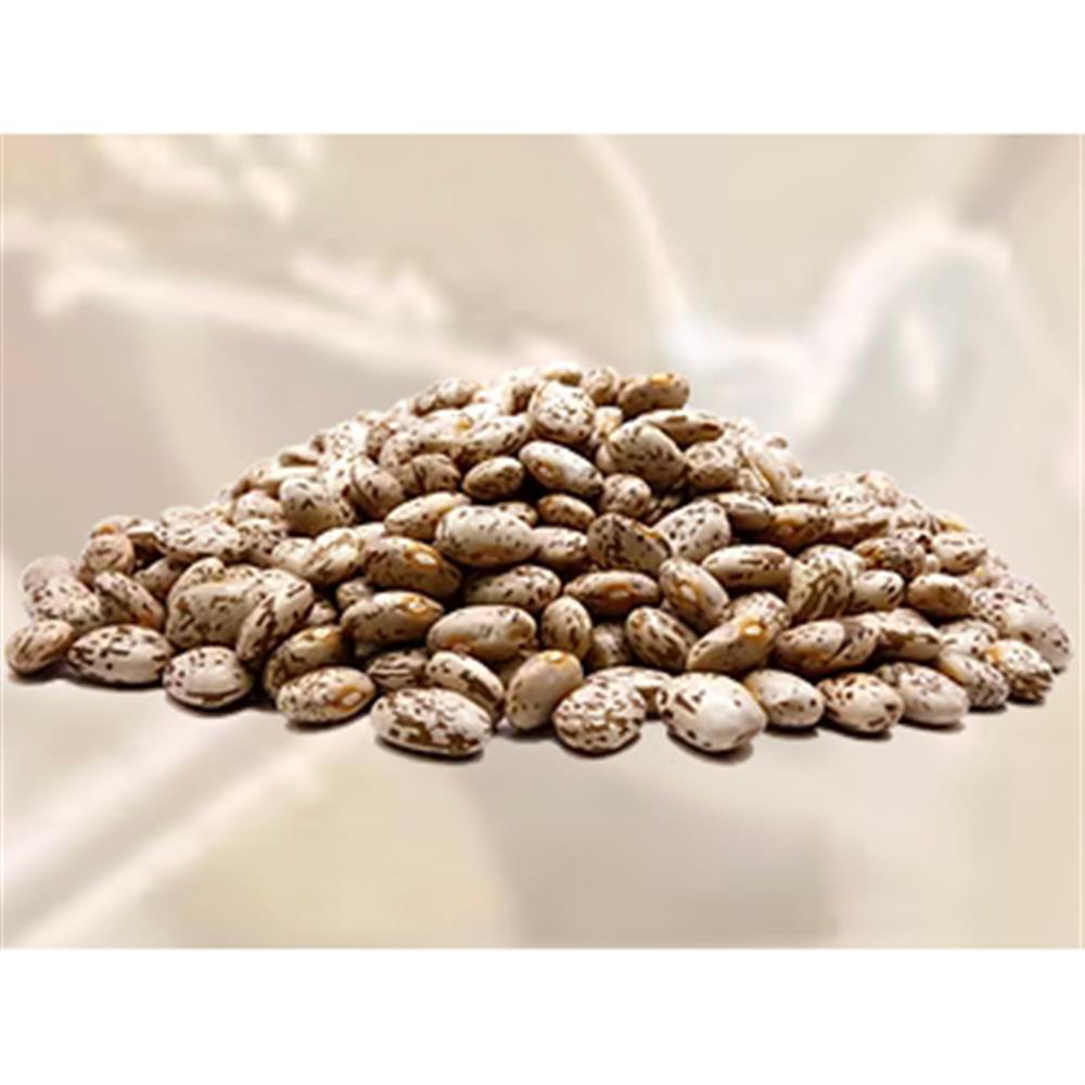Pinto Beans