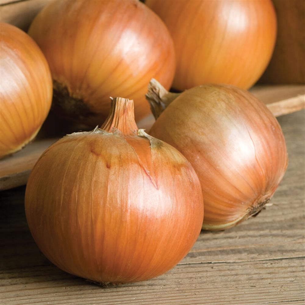 Whole yellow onions on a wooden surface