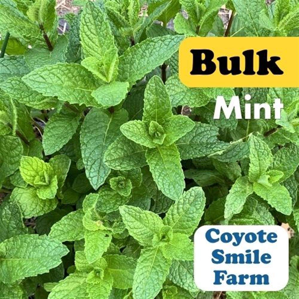 Mint Bulk COG