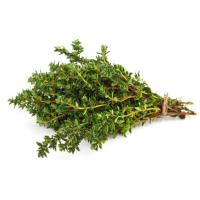 Thyme