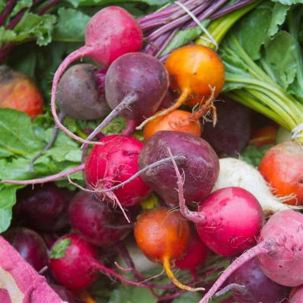 Beets, Multi-Color