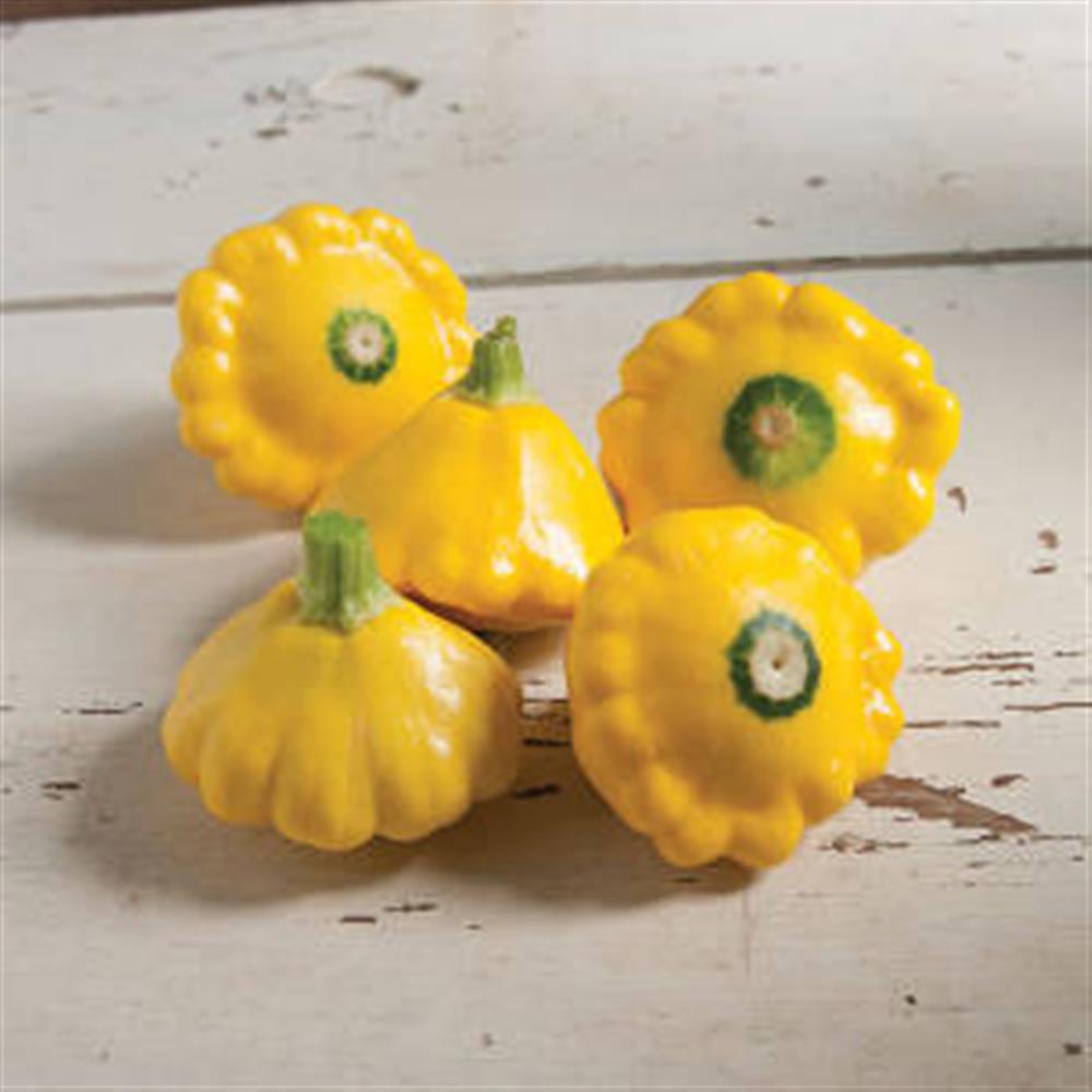 Summer Squash, Patty Pan