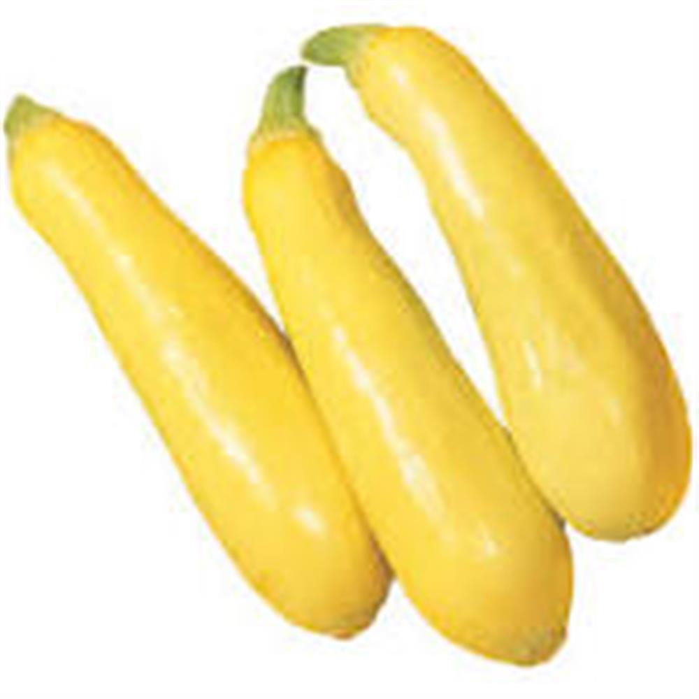 Squash, Summer (Yellow)