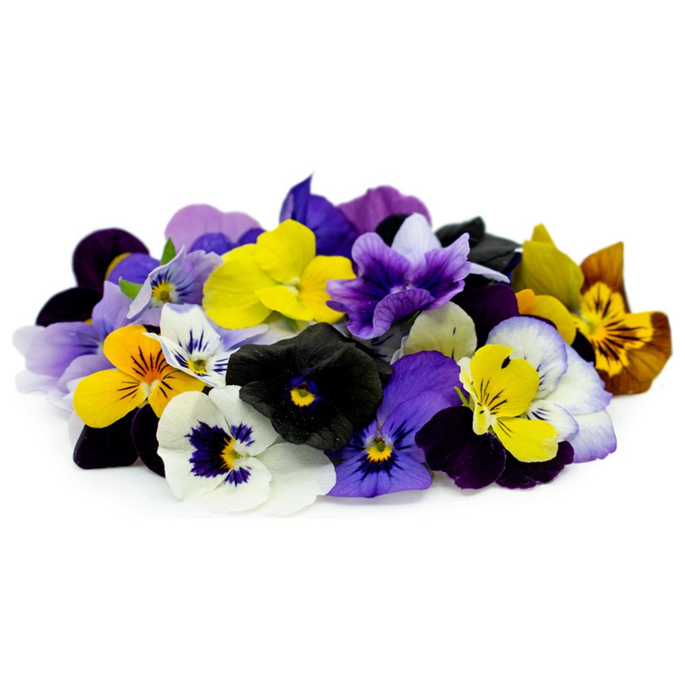 Edible Flowers
