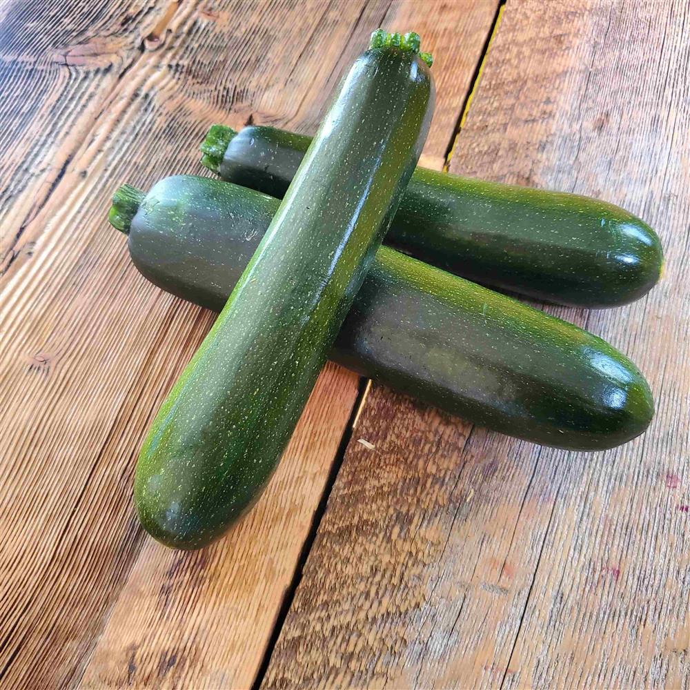 Summer Squash, Green Zucchini