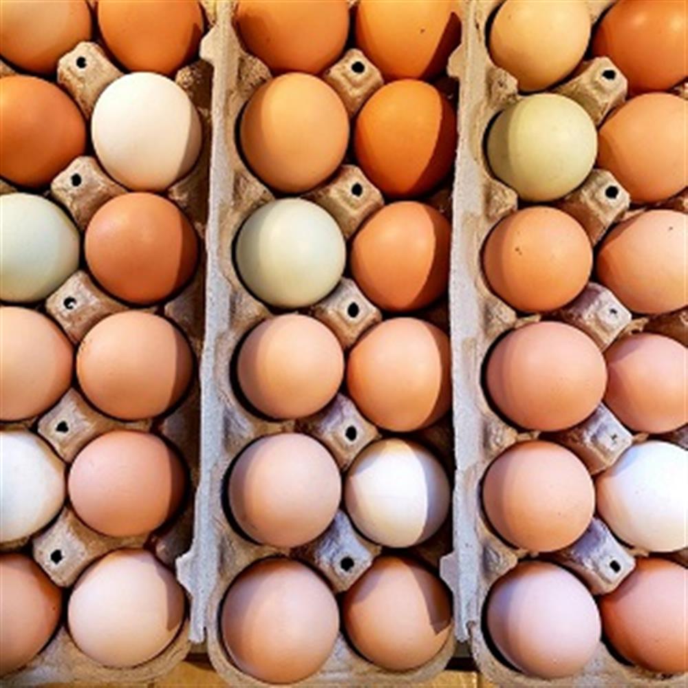 Eggs, Pasture Chicken
