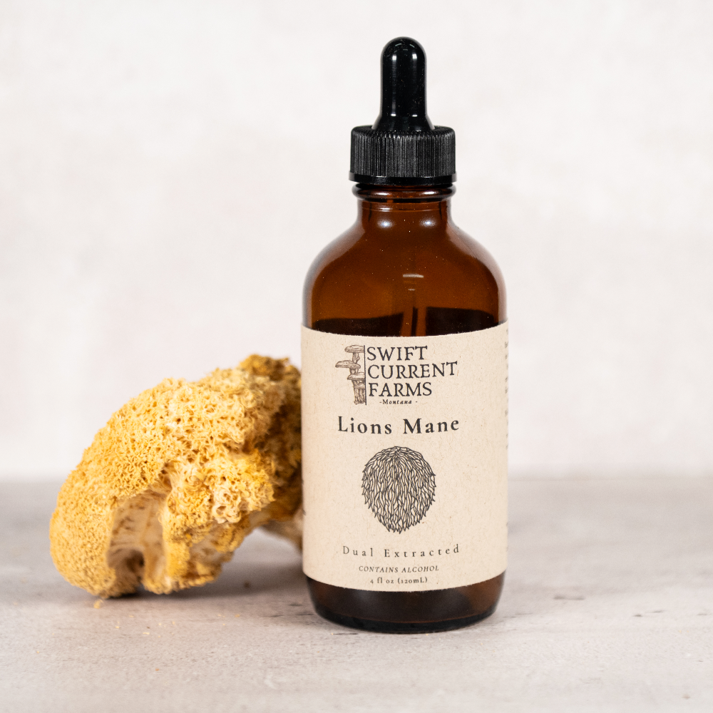 A Swift Current Farms lion’s mane tincture bottle beside a mushroom.