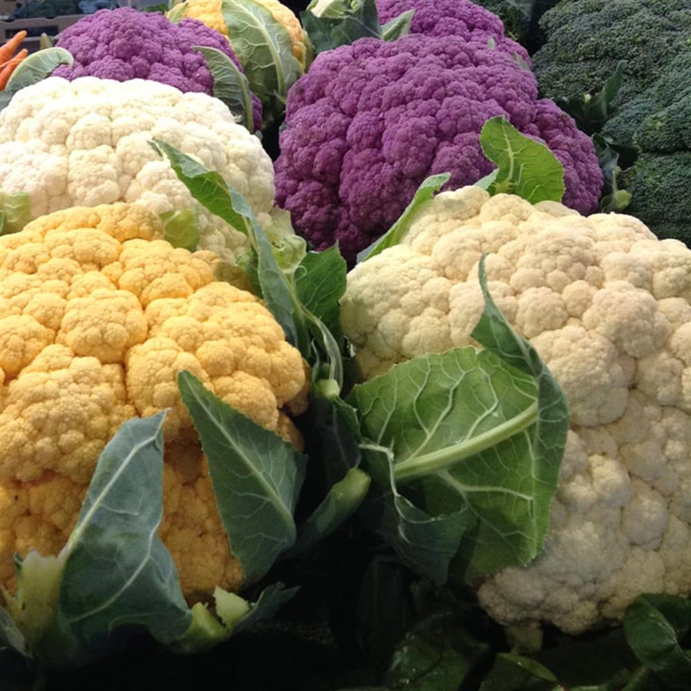 Cauliflower, Rainbow