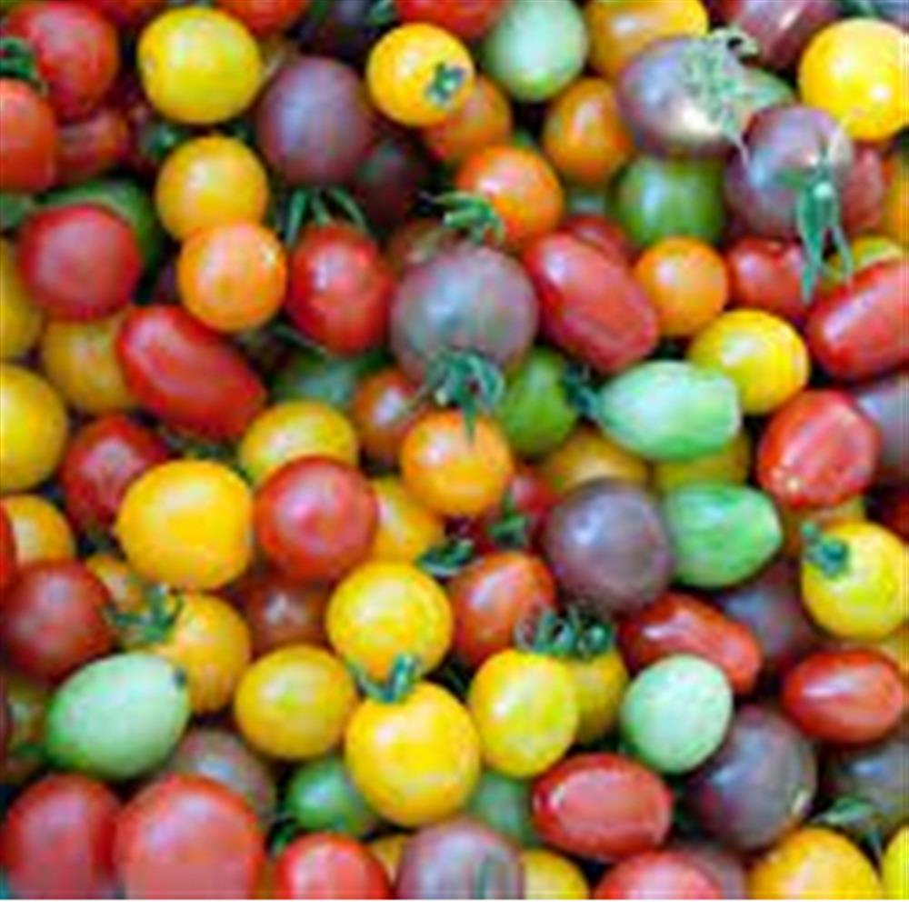 Tomatoes, Cherry Mixed