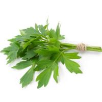 Lovage