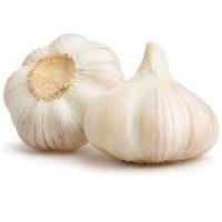 Garlic, Hardneck