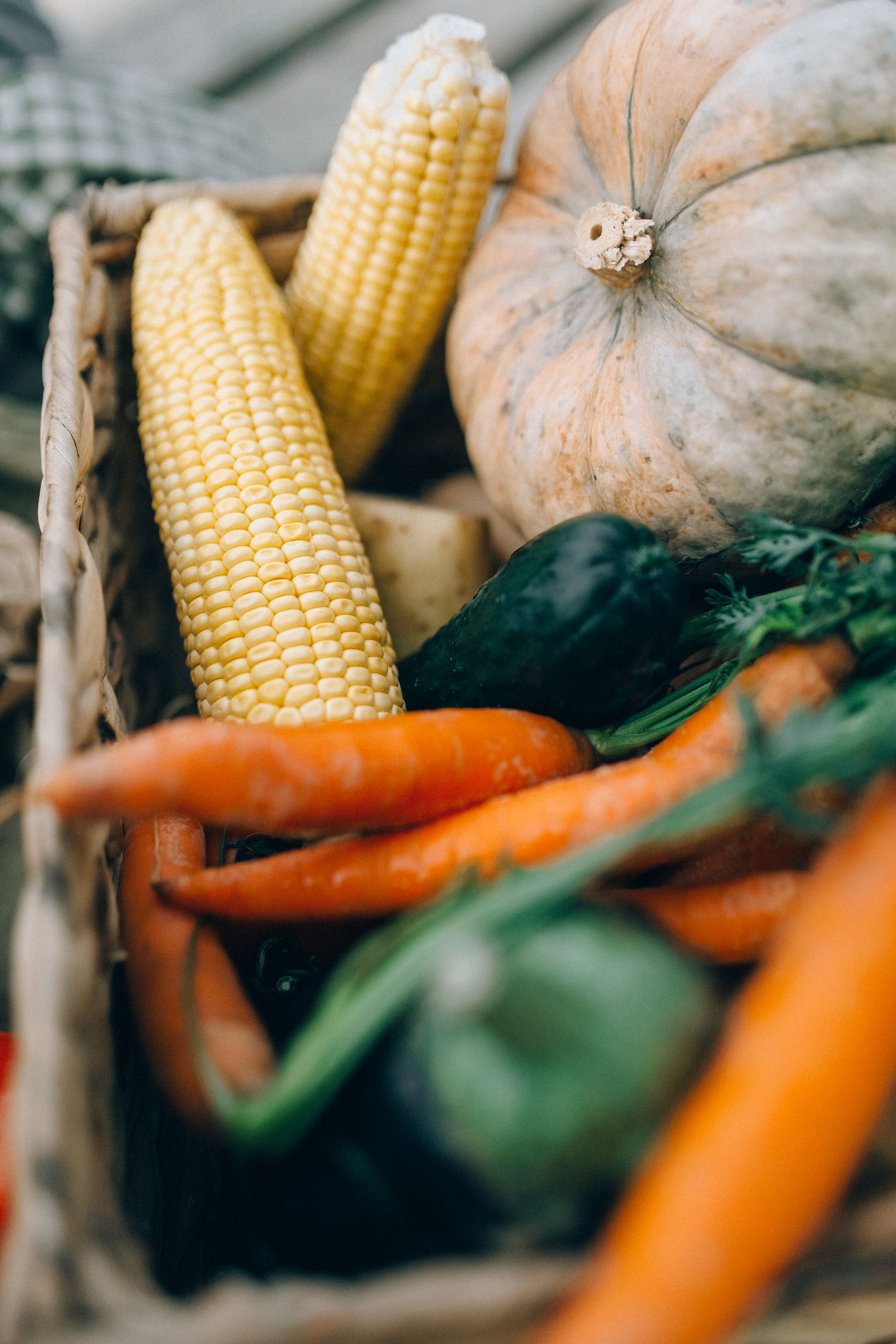 Corn, squash and carrots in a basket.